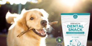 Golden Retriever im Freien mit Stock im Maul, daneben eine Packung Anicare Premium Dental Snack