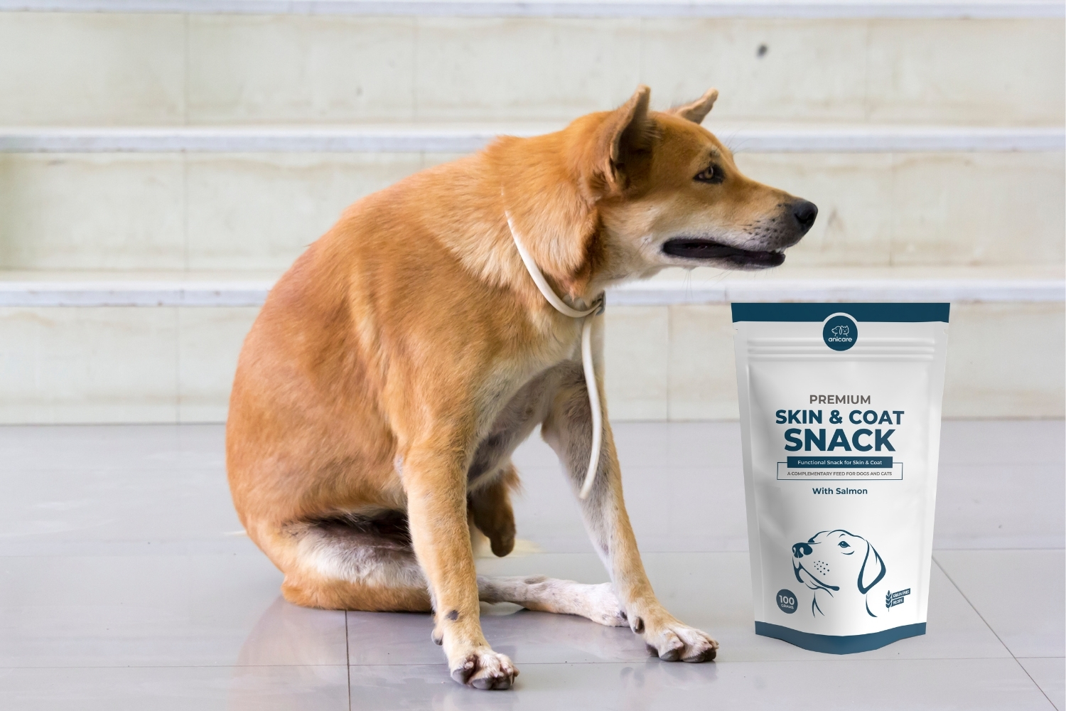 Ein Hund kratzt sich und neben ihm ist eine Packung Premium Skin & Coat Snack von Anicare