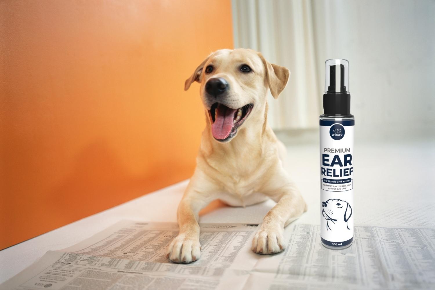 Hund liegt auf einer Zeitung und neben ihm ist das Premium Ear Relief Spray von Anicare