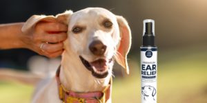 Anicare Premium Ear Relief
