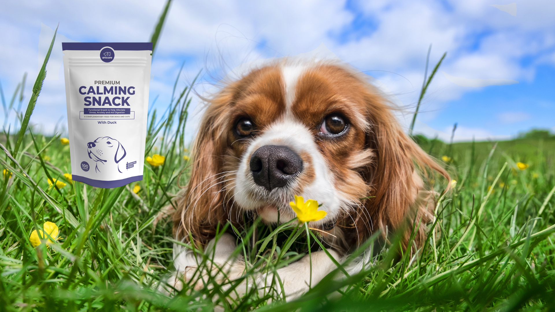 Welche Vorteile haben pflanzlichen Inhaltsstoffe? Premium Calming Snack