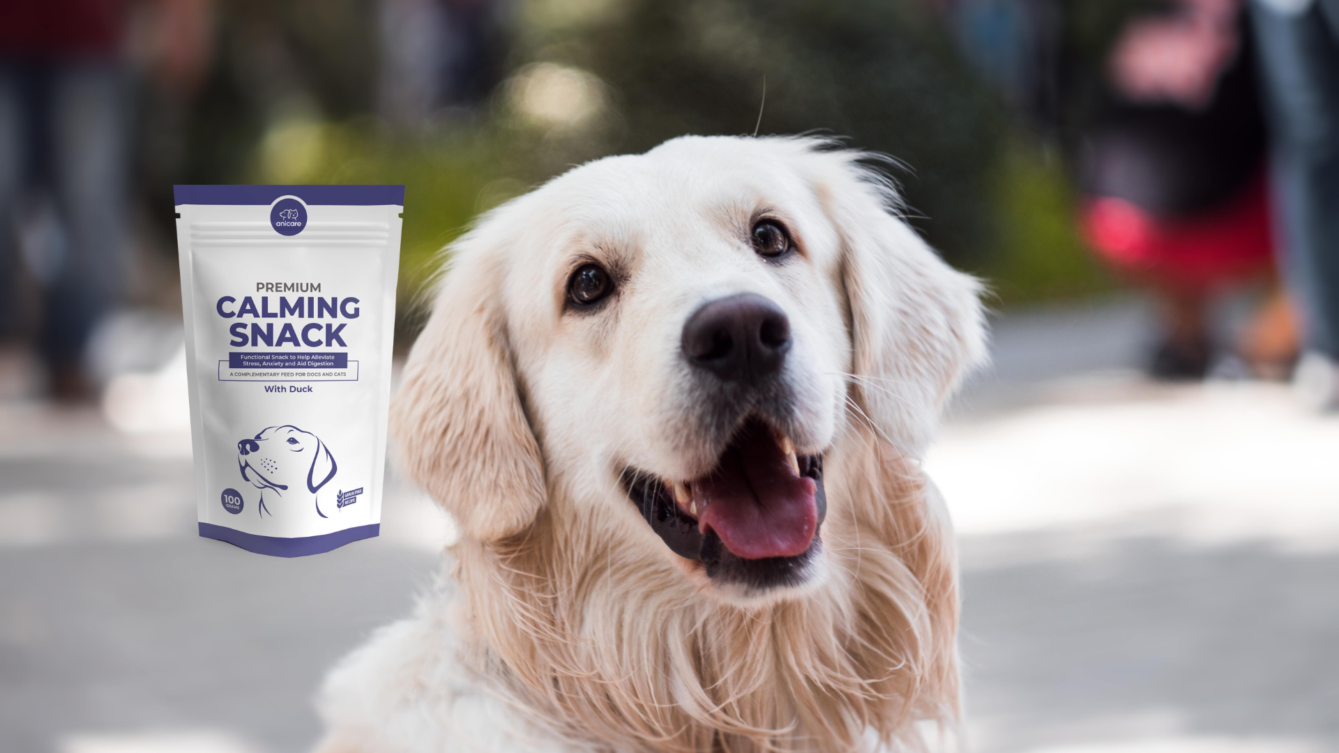 Gewährleisten Vitamine und Mineralien einen zusätzlichen Schutz des Immunsystems gestresster Katzen und Hunde? Premium Calming Snack