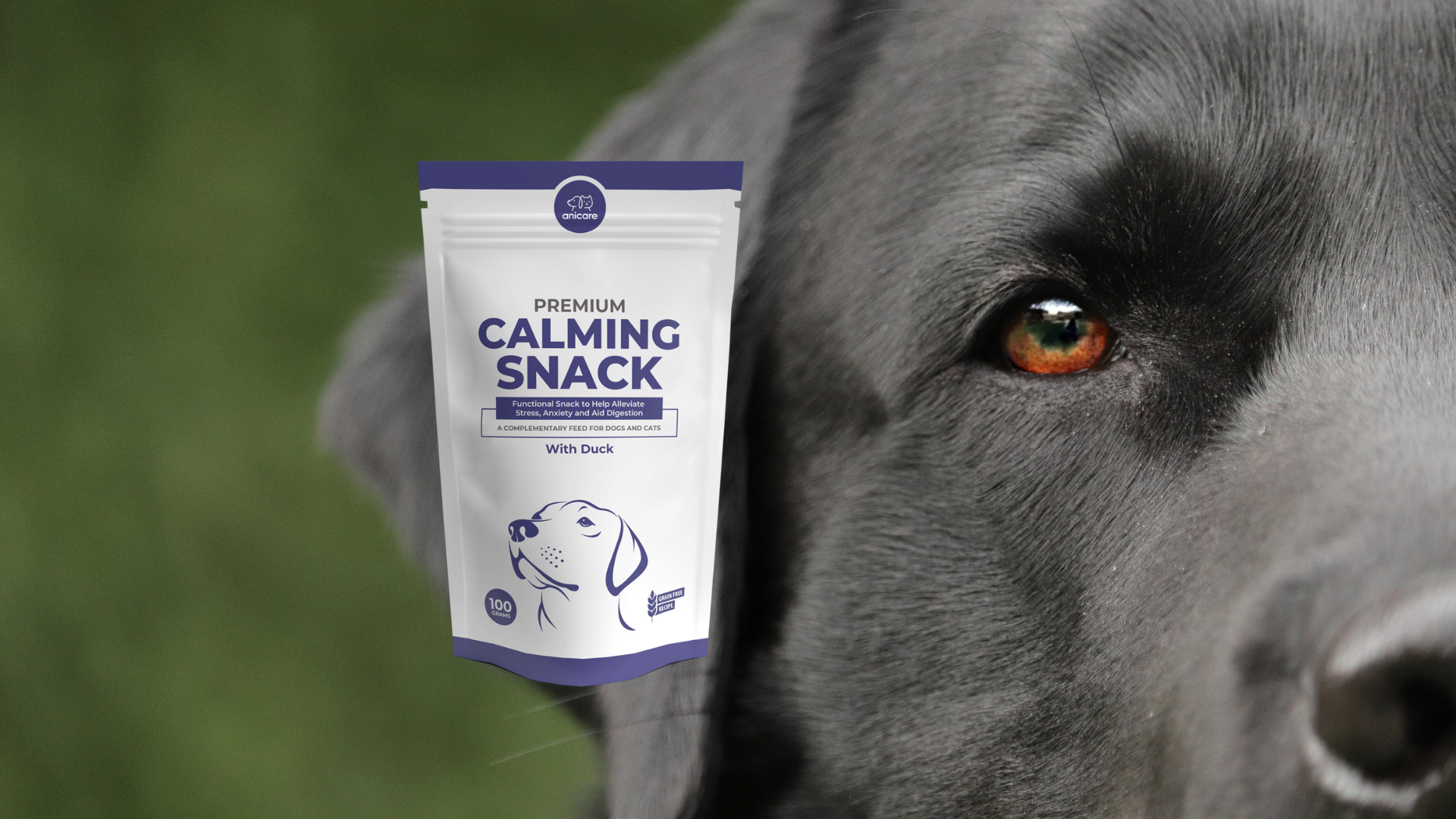 Gesicht vom Hund mit einer Packung Premium Calming Snack von Anicare
