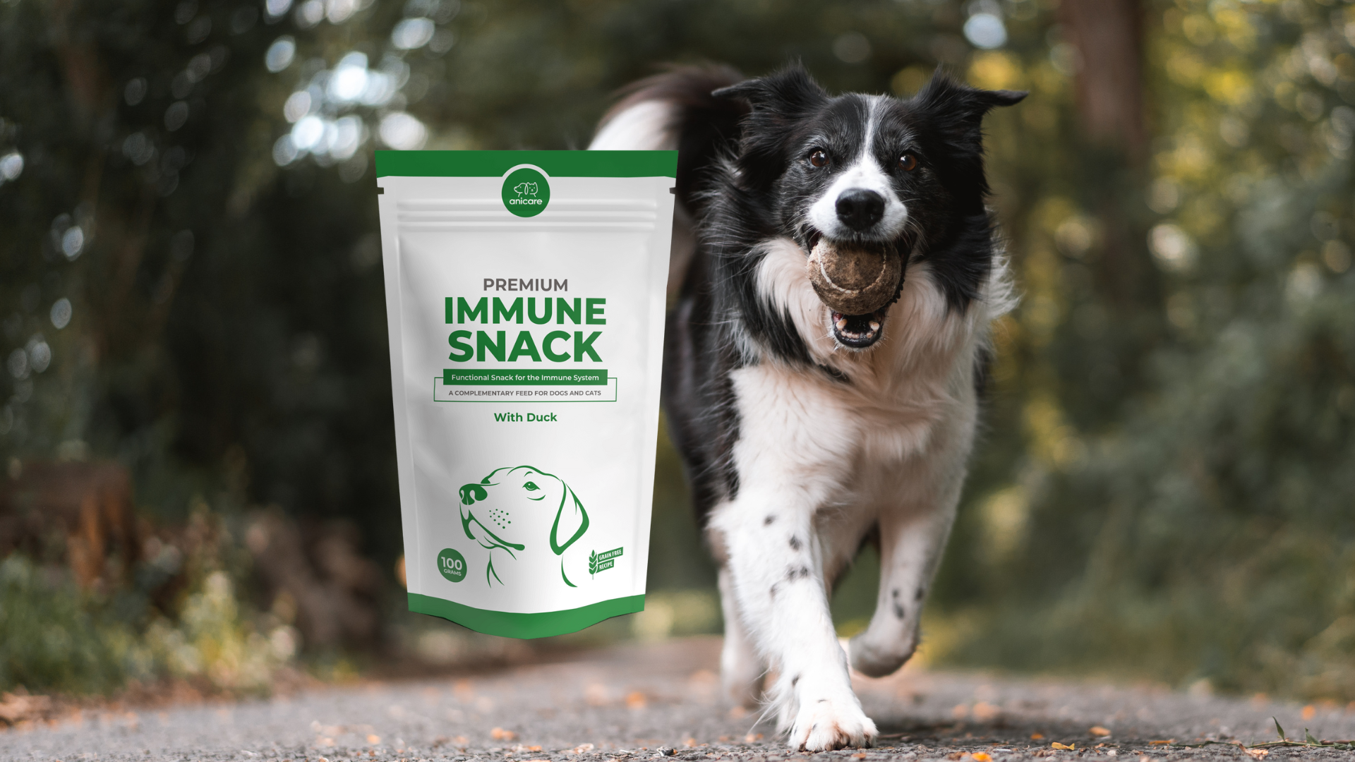 Hund mit Ball im Maul geht einen Weg durch den Wald und nebem ihm ist eine Packung Premium Immune Snack von Anicare