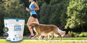 Hund läuft neben Joggerin im Grünen nebenher - auf der Seite zu sehen ist eine Packung von Anicare Premium Joint Care