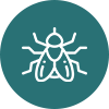 Fliege Icon
