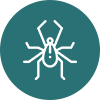 Floh Icon
