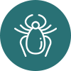 Zecke Icon