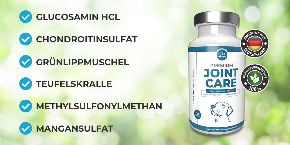Ein Packung Anicare Premium Joint Care mit allen Inhaltsstoffen Glucosamin, Chondroitinsulfat, Grünlippmuschel, Teifelskralle, Methylsulfonymethan und Mangansulfat